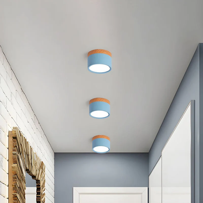 Modern Cylindrical LED Ceiling Flush Mount Lamp