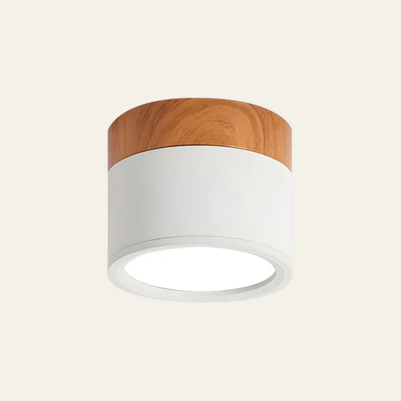 Modern Cylindrical LED Ceiling Flush Mount Lamp