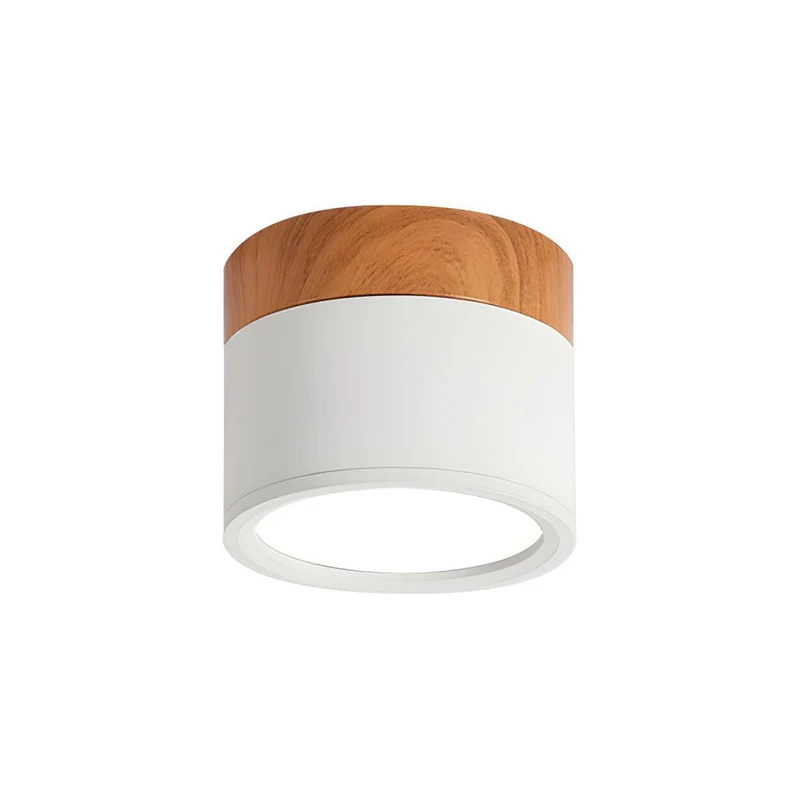 Modern Cylindrical LED Ceiling Flush Mount Lamp