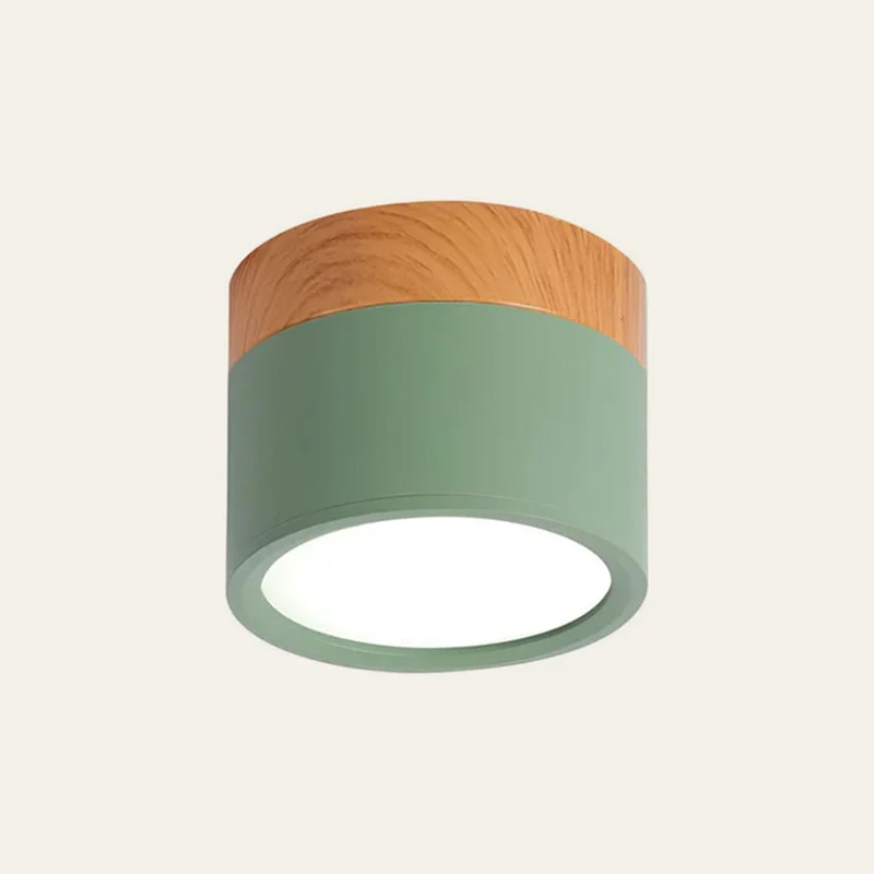 Modern Cylindrical LED Ceiling Flush Mount Lamp