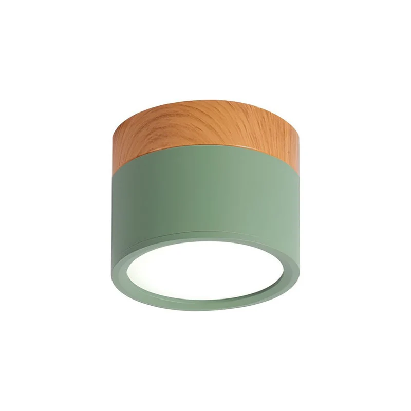 Modern Cylindrical LED Ceiling Flush Mount Lamp