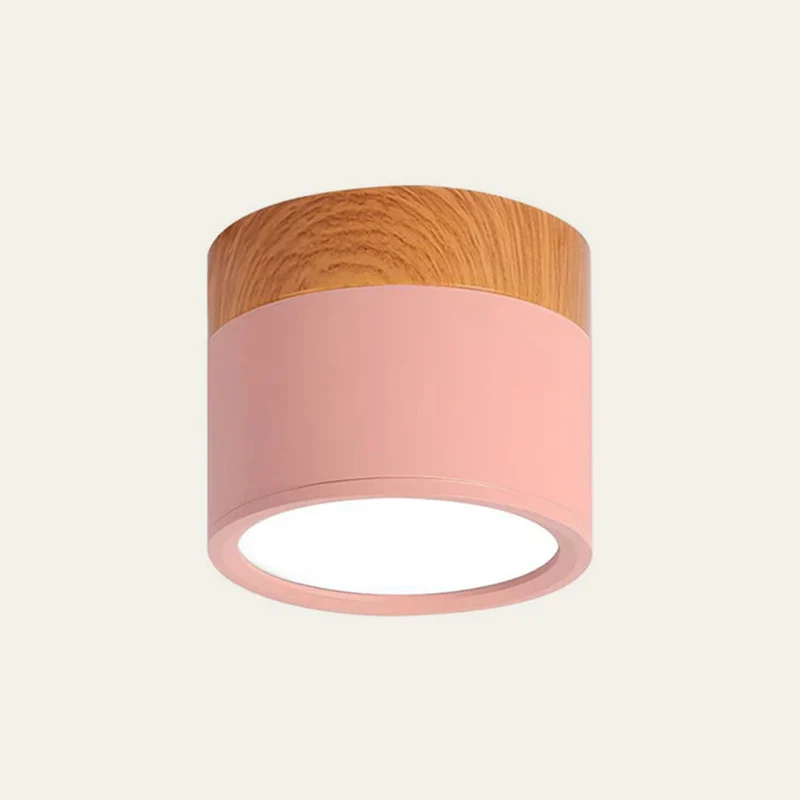 Modern Cylindrical LED Ceiling Flush Mount Lamp