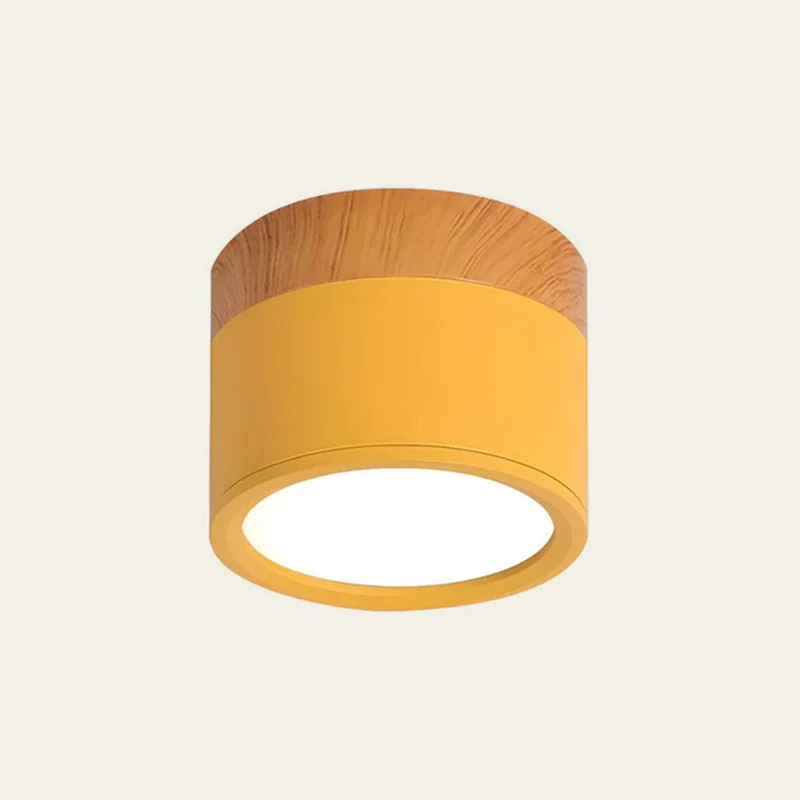 Modern Cylindrical LED Ceiling Flush Mount Lamp