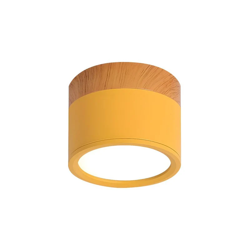Modern Cylindrical LED Ceiling Flush Mount Lamp