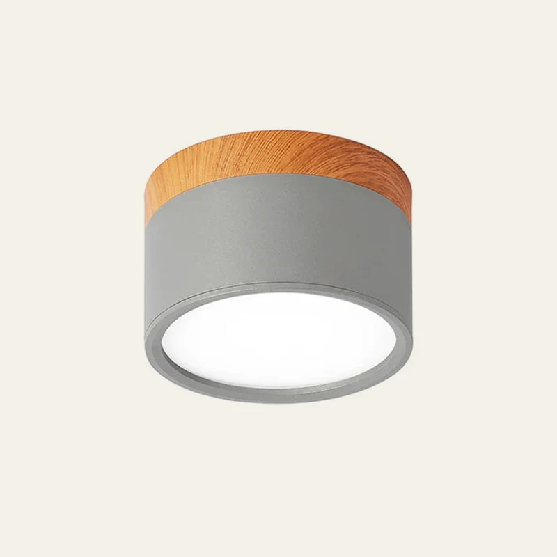Modern Cylindrical LED Ceiling Flush Mount Lamp