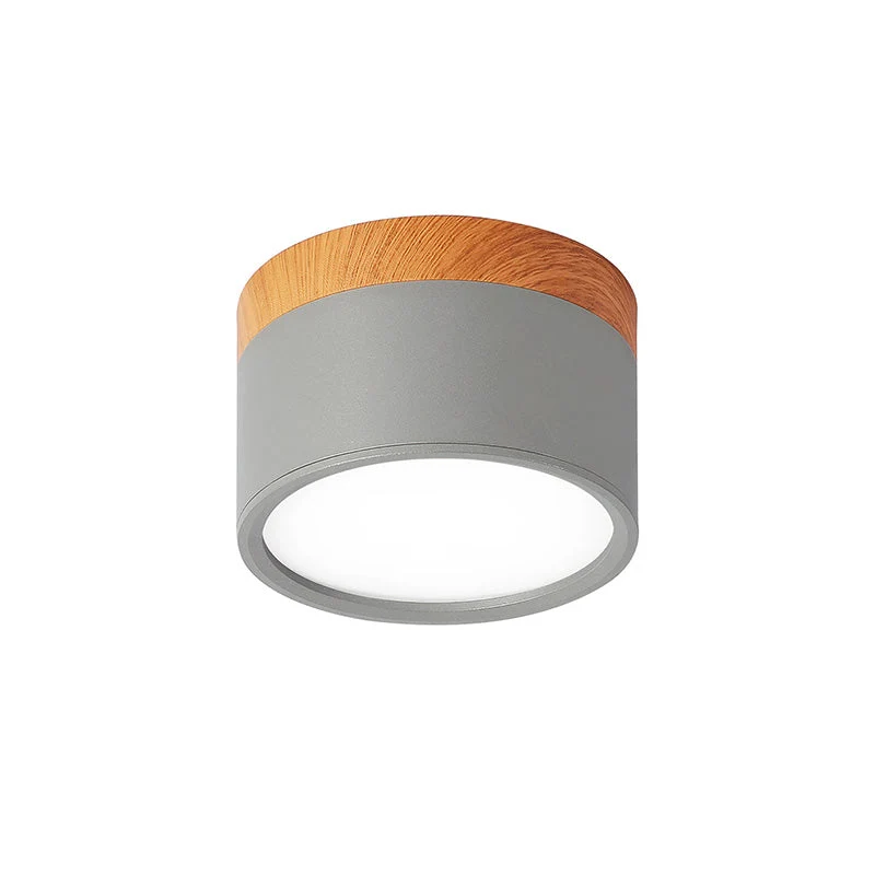 Modern Cylindrical LED Ceiling Flush Mount Lamp