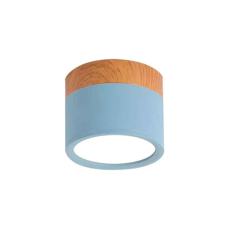 Modern Cylindrical LED Ceiling Flush Mount Lamp