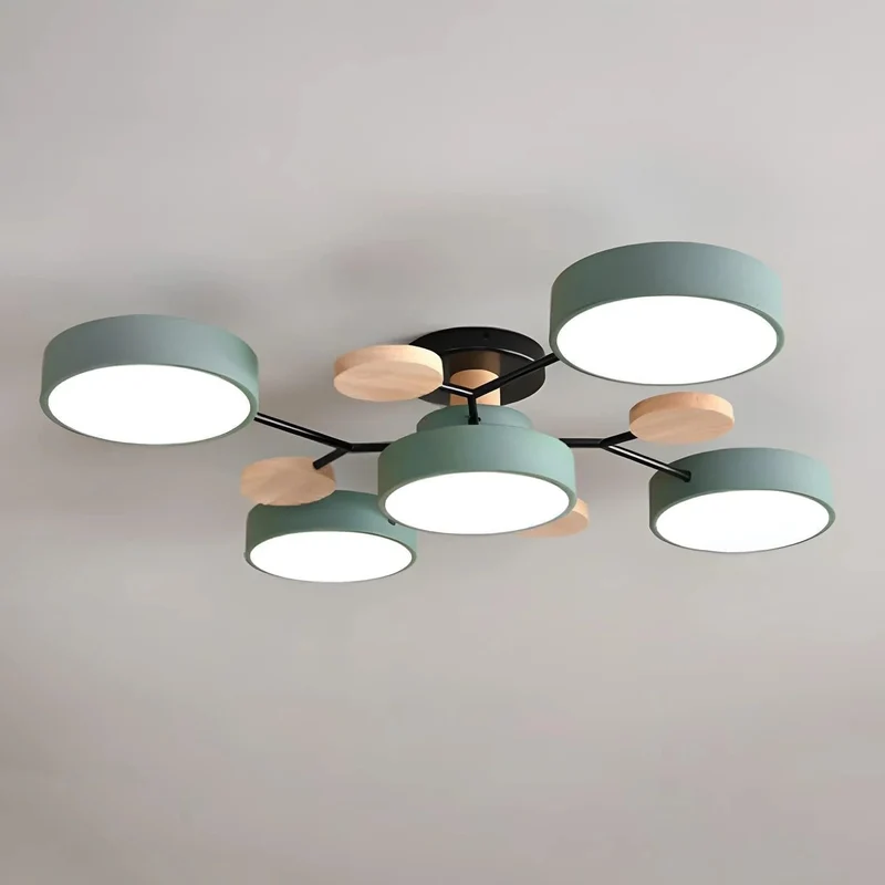 Modern LED Ceiling Flush Mount Lamp