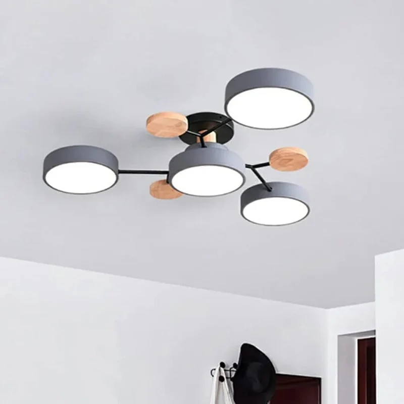 Modern LED Ceiling Flush Mount Lamp