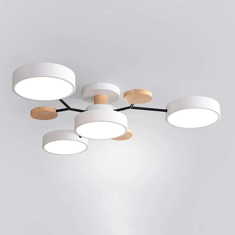 Modern LED Ceiling Flush Mount Lamp