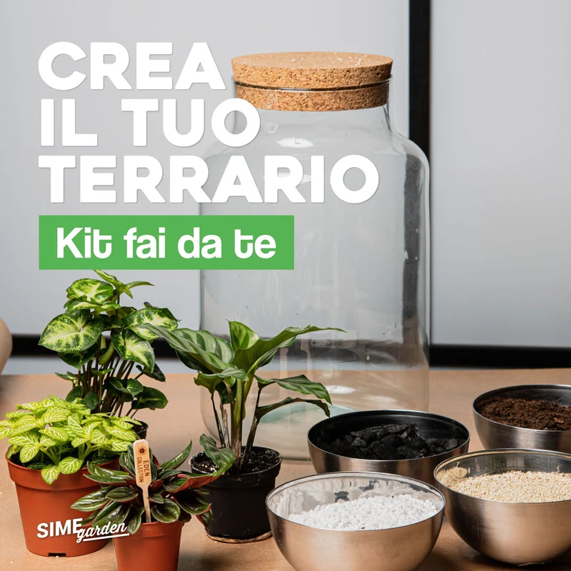 Piante in vaso chiuso