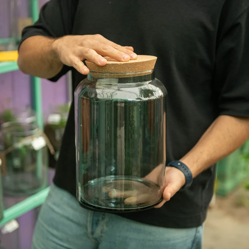 Piante in vaso chiuso