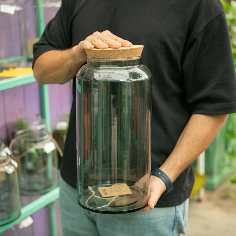Piante in vaso chiuso
