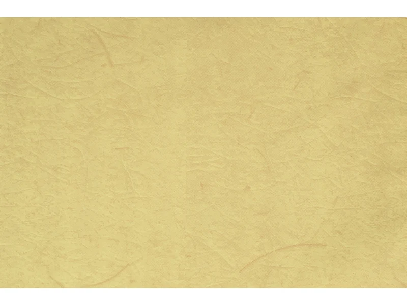 Buste carta gelso 40x65cm, confezione da 50 pezzi assortite