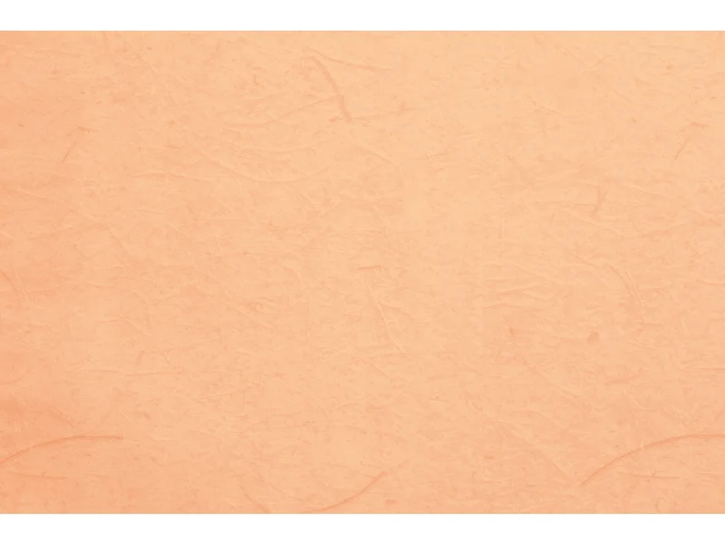 Buste carta gelso 35x50cm, confezione da 50 pezzi assortite