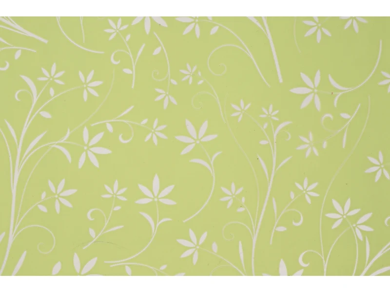 Bobina silhuette fondo pieno e stampa 80cmx40mt verde pastello