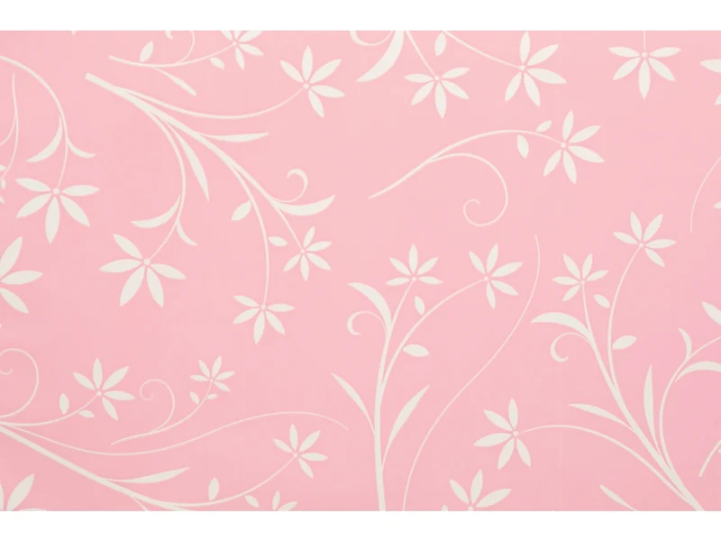 Buste silhouette 25x40cm, confezione da 100 pezzi assortite