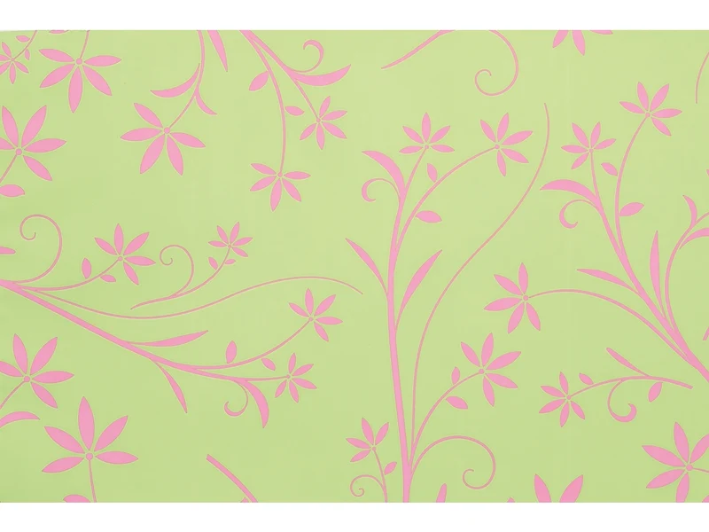 Buste silhouette 25x40cm, confezione da 100 pezzi assortite