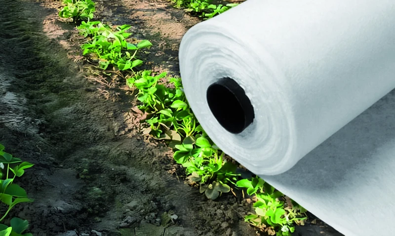 Telo di Protezione Antigelo a Rotolo in Tnt M 2 x 250