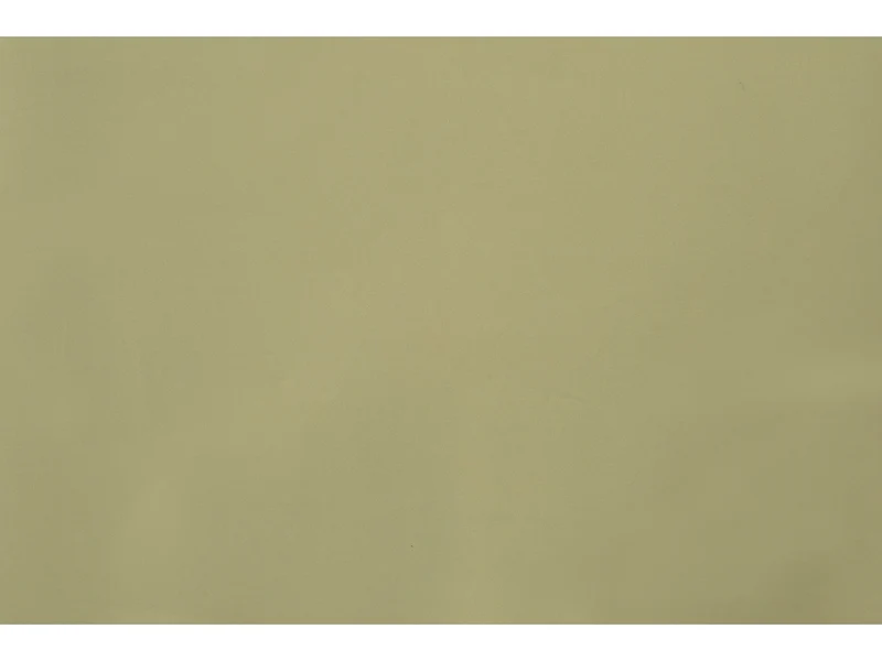 Bobina Elegance perlata 60my fondo pieno 1x25mt elite verde mandorla