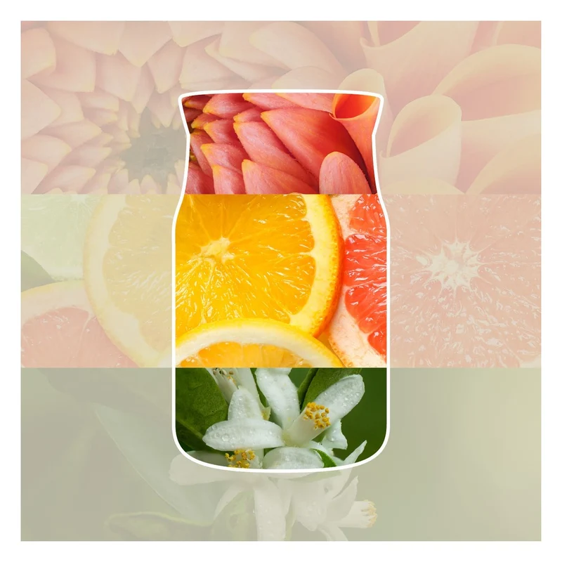 Candela Giara Grande Yankee Candle Signature Sun & Sand