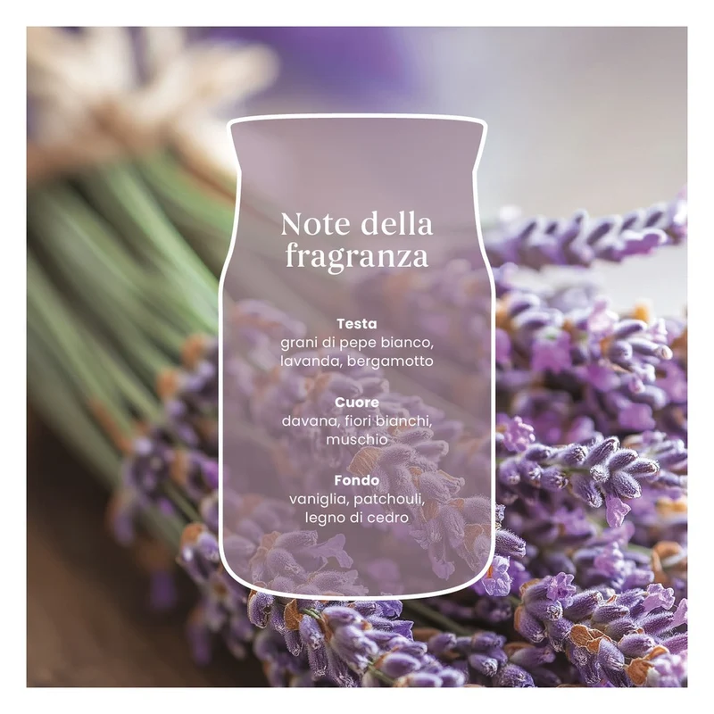 Candela Giara Media Yankee Candle Signature Dried Lavender & Oak