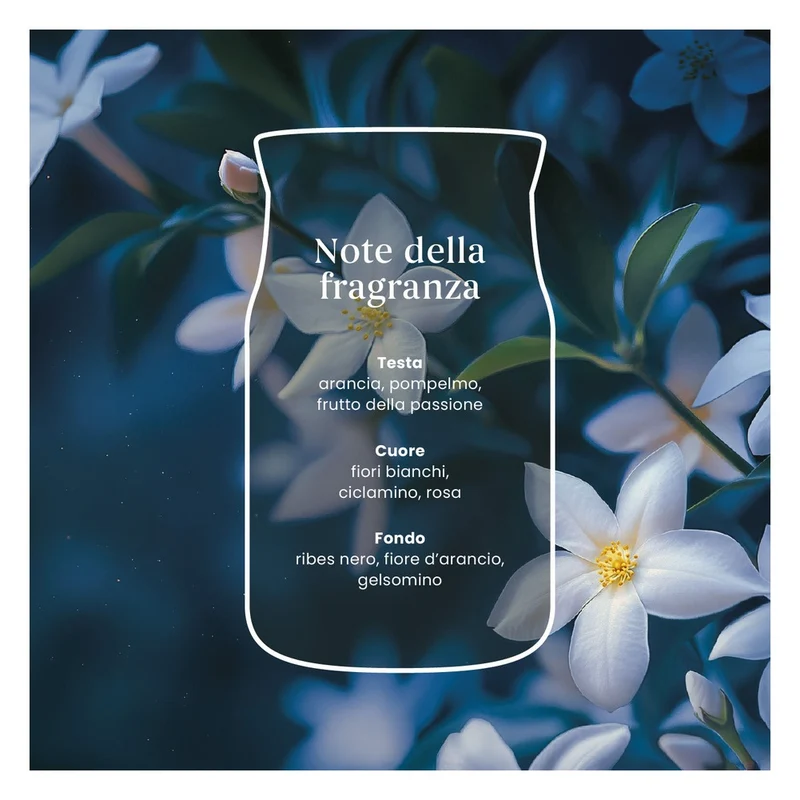 Candela Giara Piccola Yankee Candle Signature Midnight Jasmine