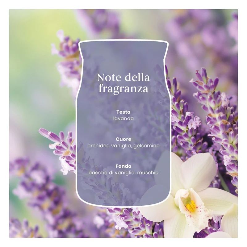 Candela Giara Grande Yankee Candle Signature Lavender Vanilla