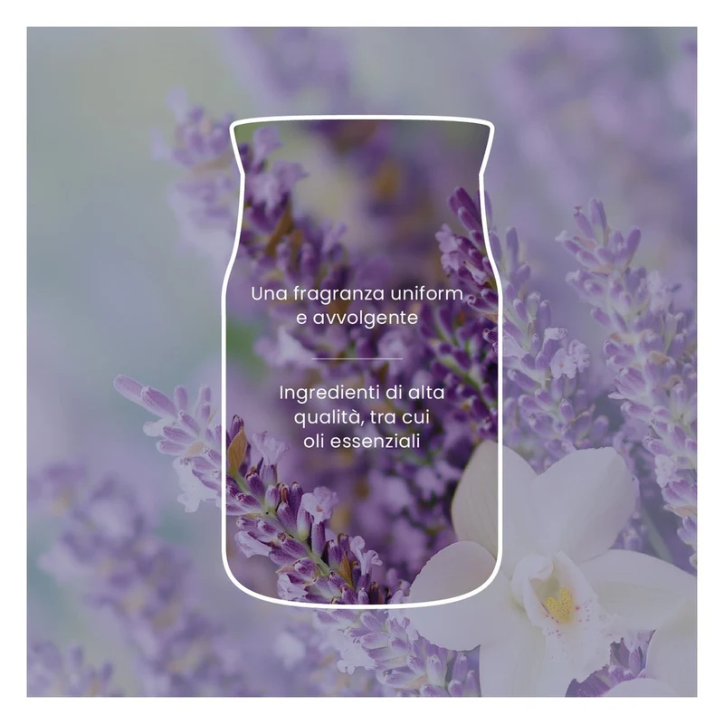 Candela Giara Grande Yankee Candle Signature Lavender Vanilla