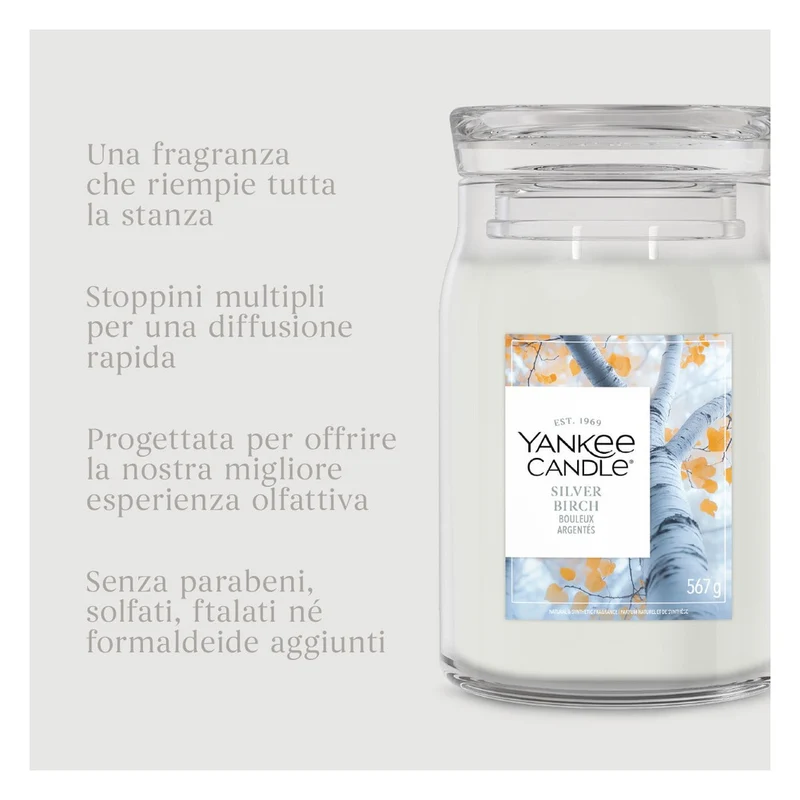 Candela Giara Grande Yankee Candle Signature Silver Birch