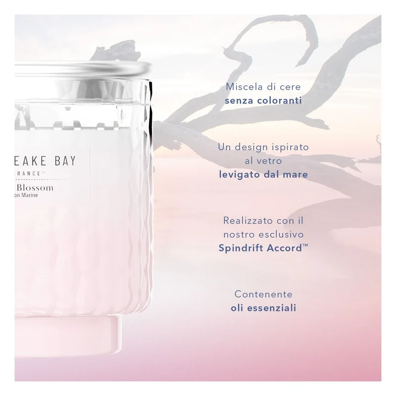 Candela media Chesapeake Bay Candle Ocean Blossom