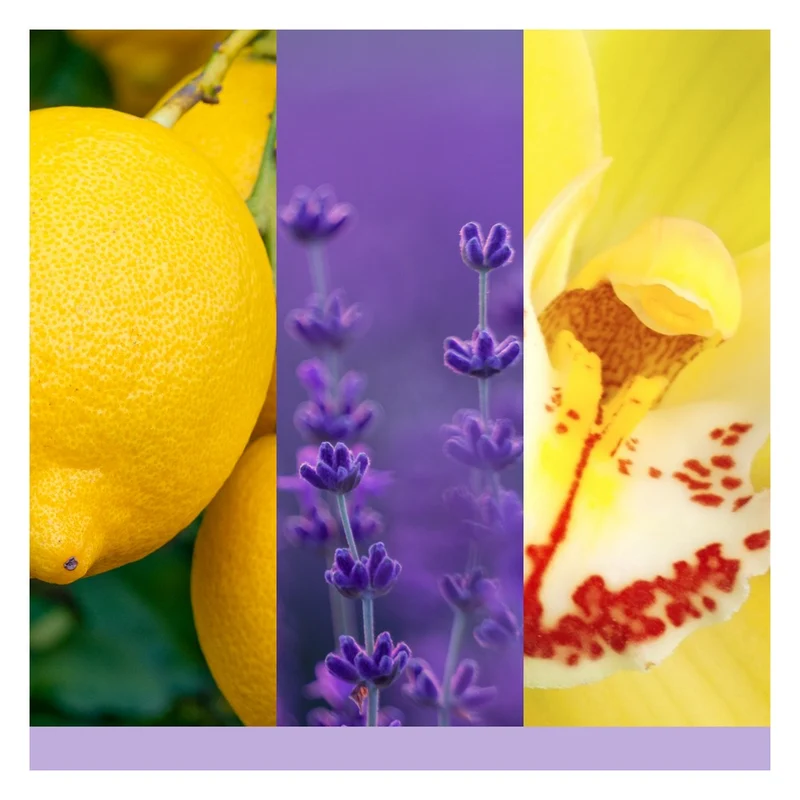 Tart Profumata Yankee Candle Lemon Lavender