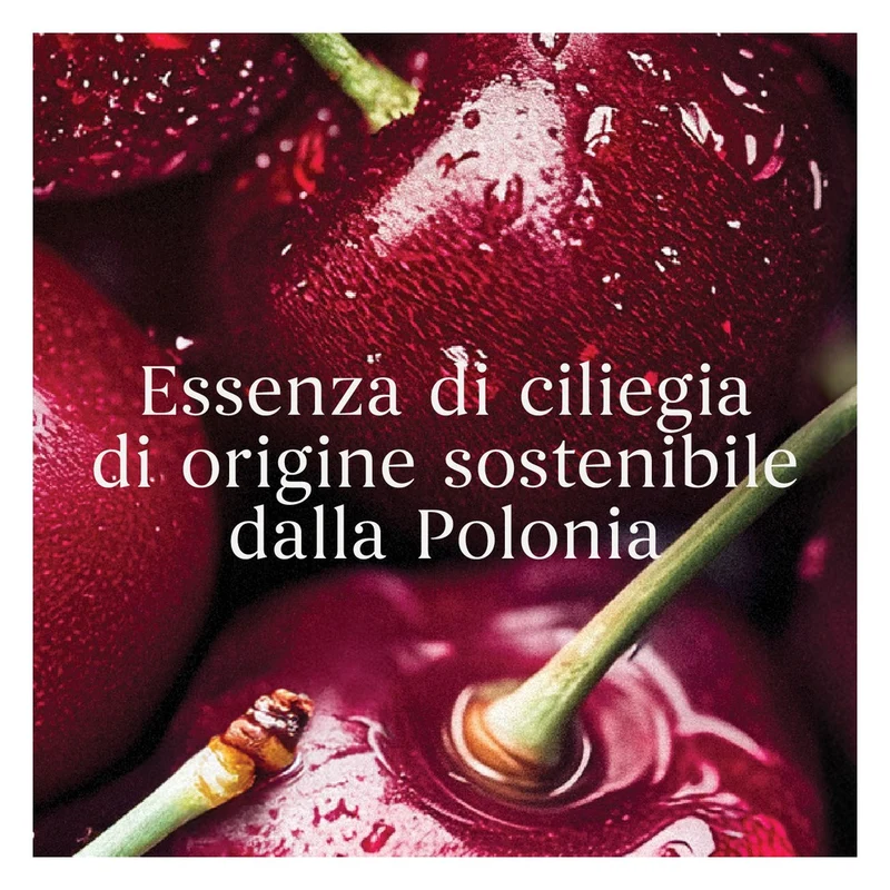 Ricarica ScentPlug Yankee Candle Black Cherry
