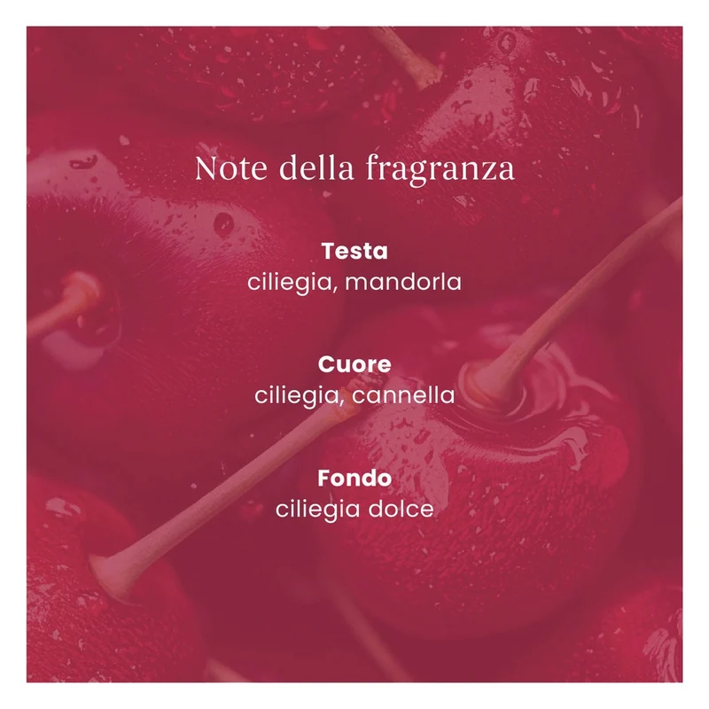 Ricarica ScentPlug Yankee Candle Black Cherry