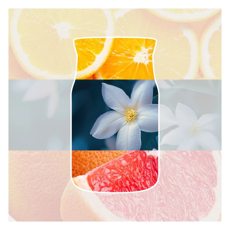 Ricarica ScentPlug Yankee Candle Midnight Jasmine