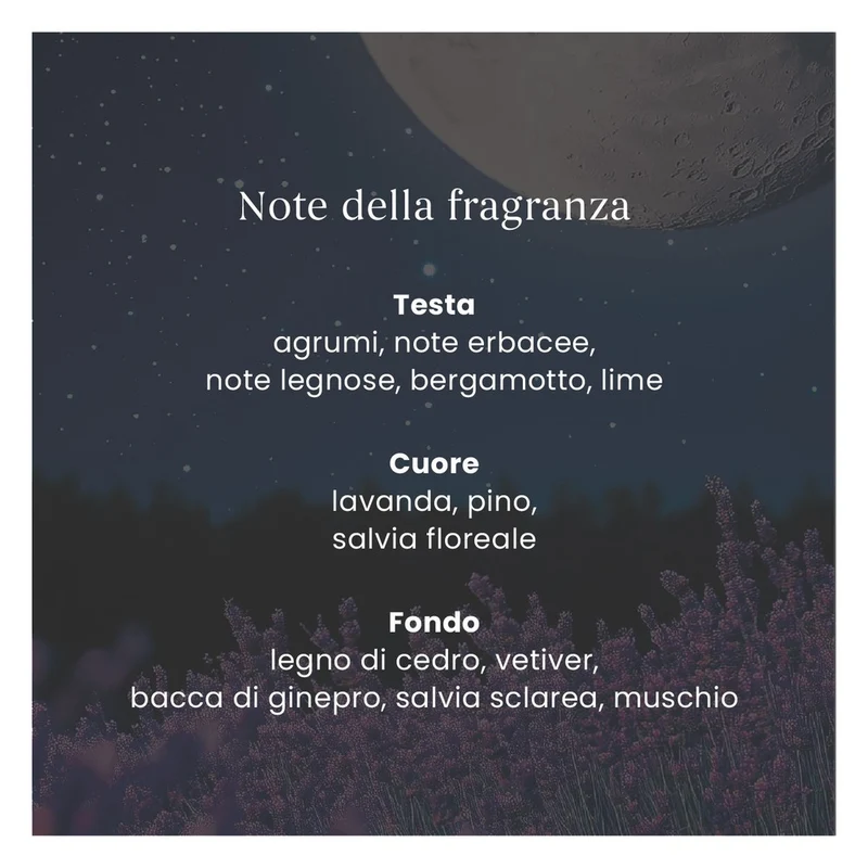Profumatore per Auto Yankee Candle Car Jar Midsummer's Night