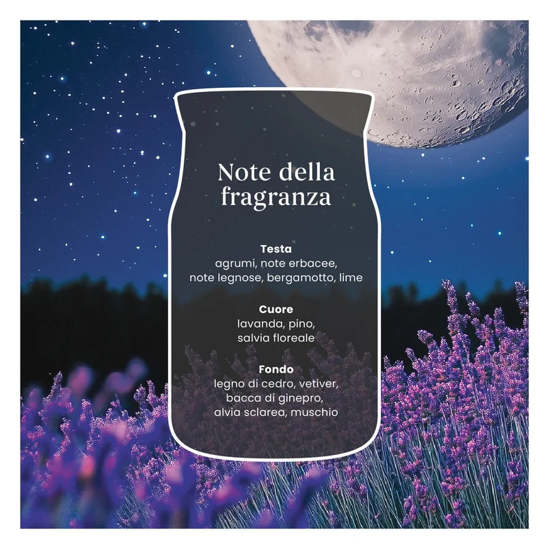 Candela Giara Grande Yankee Candle Signature Midsummer's Night