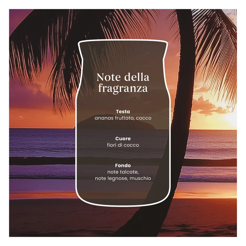 Candela Giara Media Yankee Candle Signature Black Coconut