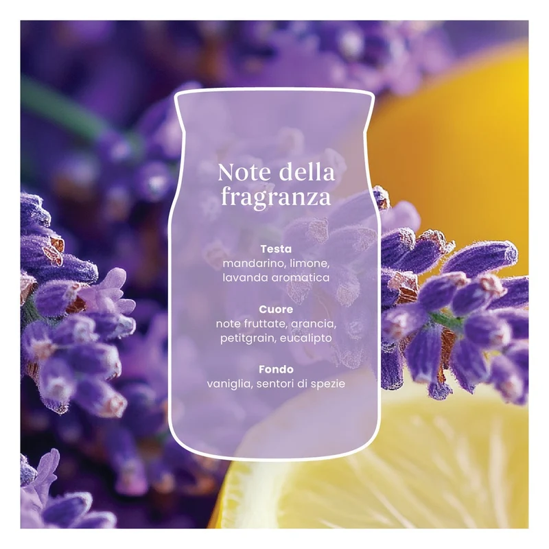 Candela Giara Media Yankee Candle Signature Lemon Lavender