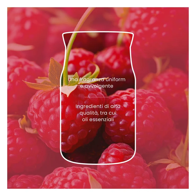 Candela Giara Grande Yankee Candle Signature Red Raspberry