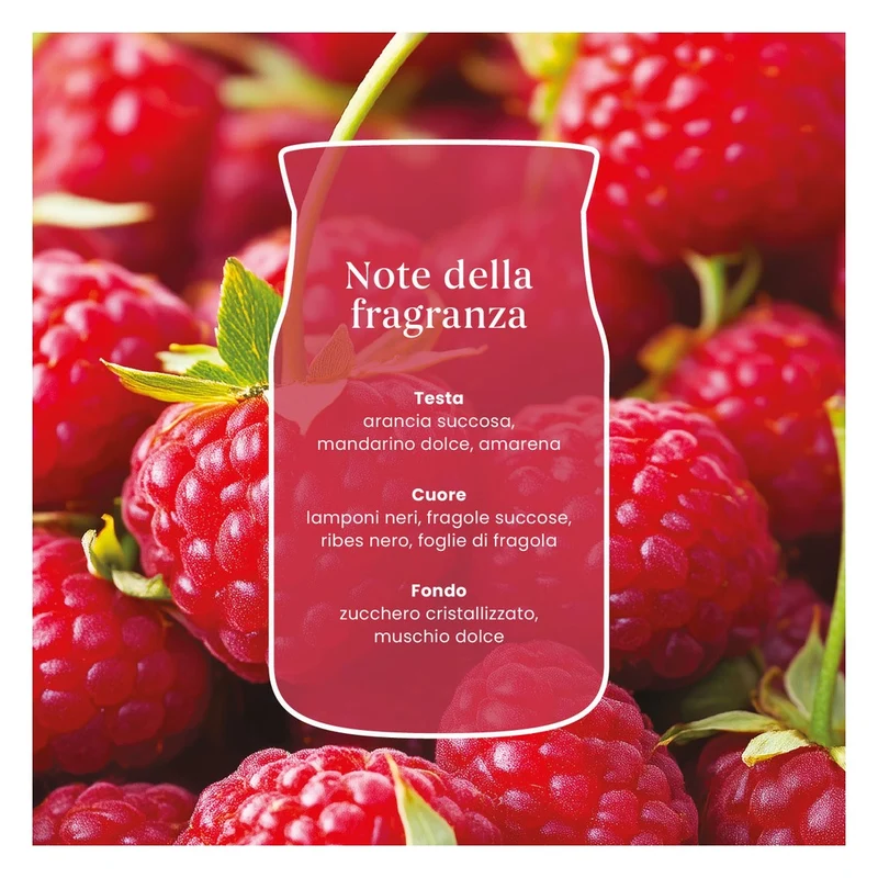 Candela Giara Media Yankee Candle Signature Red Raspberry