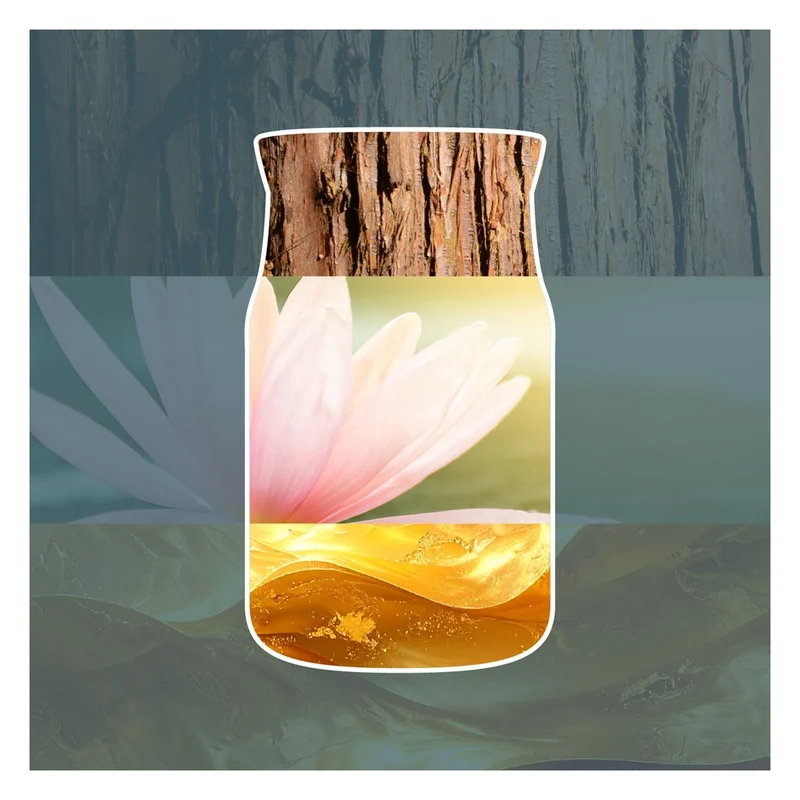 Candela Giara Grande Yankee Candle Signature Bayside Cedar