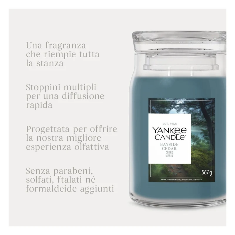 Candela Giara Grande Yankee Candle Signature Bayside Cedar