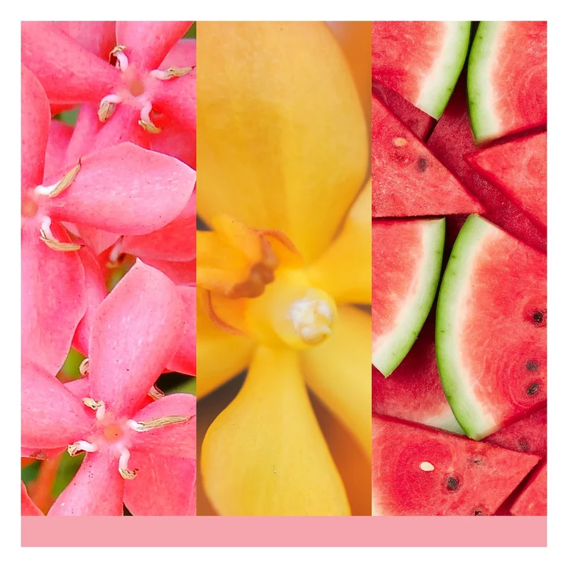 Tart Profumata Yankee Candle Pink Sands