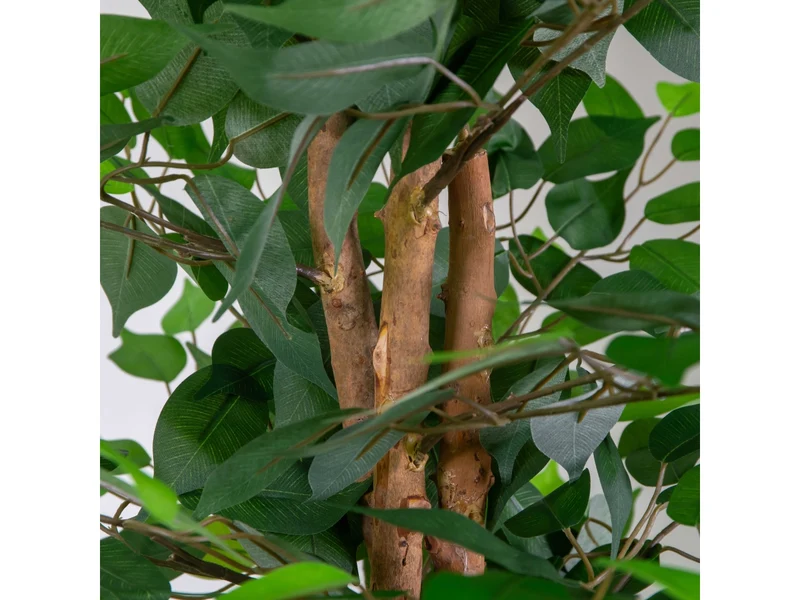 Pianta ficus artificiale 150cm