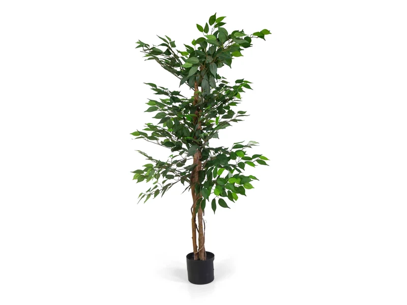 Pianta ficus artificiale 150cm
