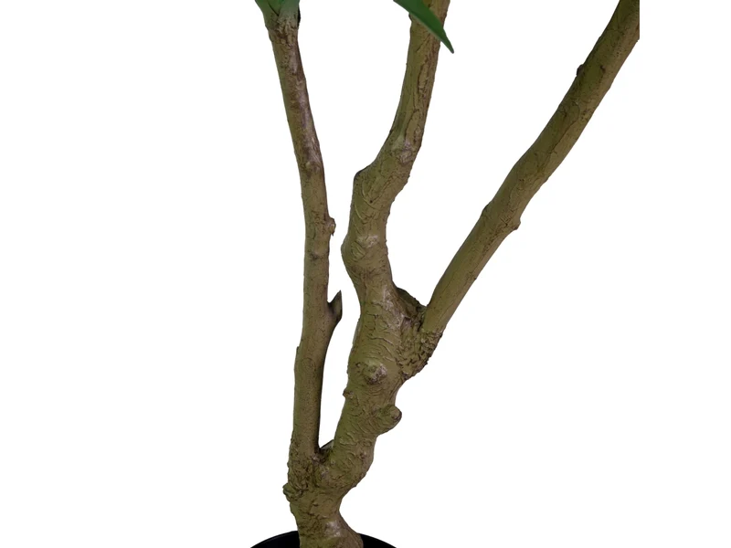 Pianta dracena artificiale 180cm