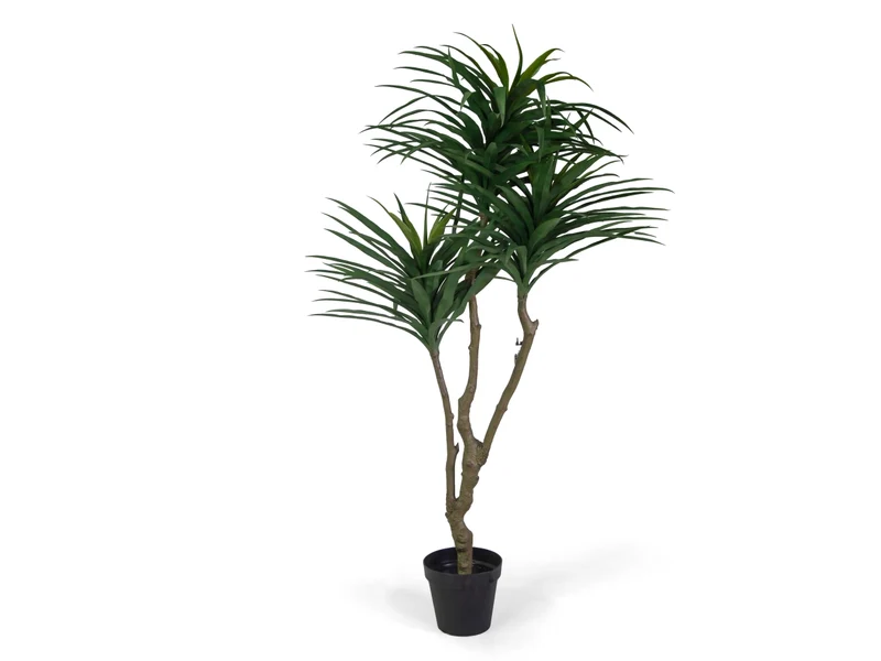 Pianta dracena artificiale 180cm