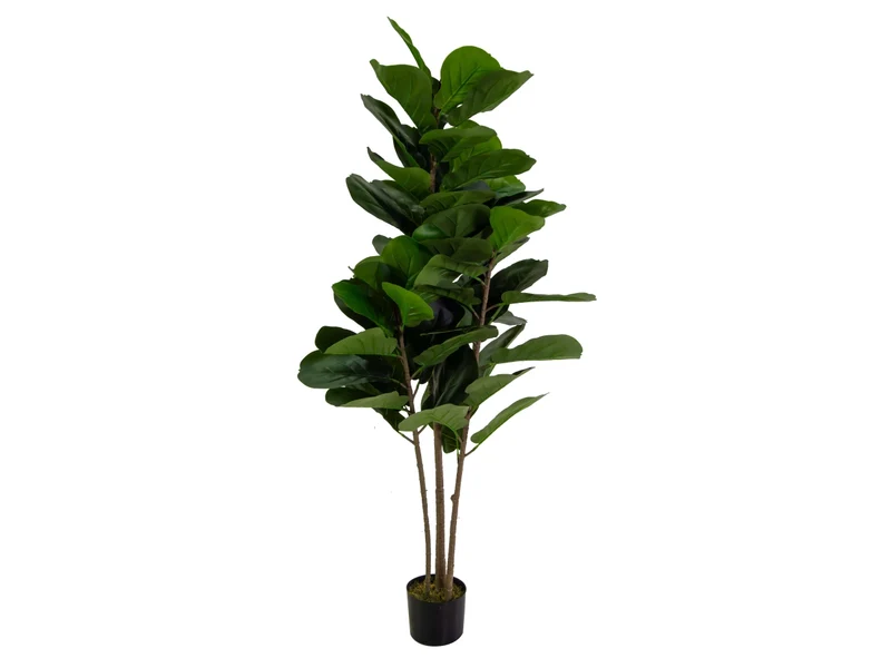 Pianta ficus artificiale 150cm