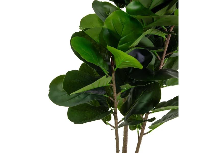 Pianta ficus artificiale 150cm